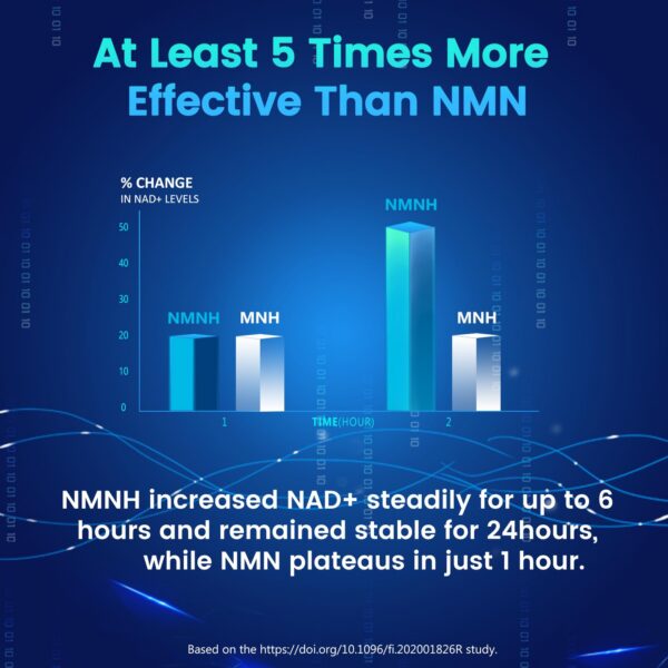HEALGUT NMNH liposome cápsulas contenido