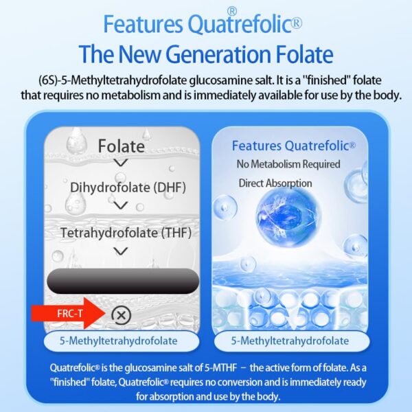 Healthdream etiqueta frente