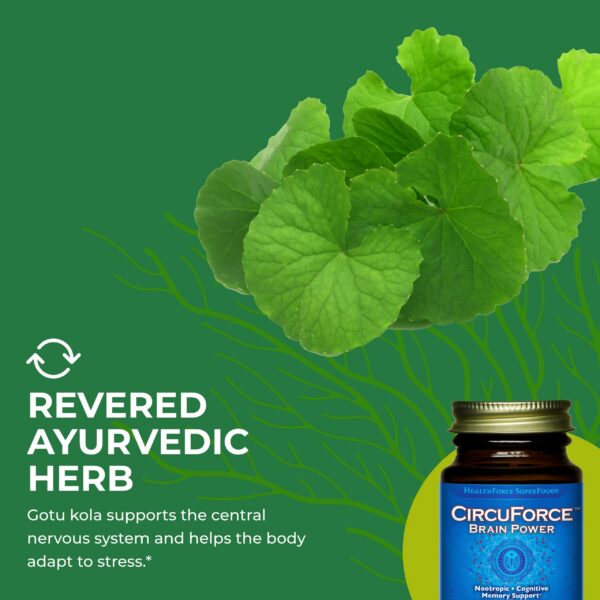 Vista frontal CircuForce Brain Power cápsulas HEALTHFORCE SUPERFOODS