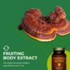 Detalle de cápsulas veganas de Reishi en envase HealthForce SuperFoods