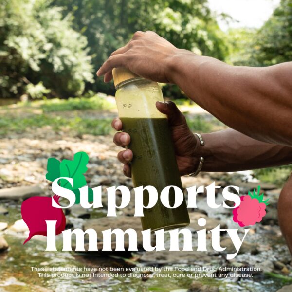 Healthy greens polvo Amazing Grass mezcla orgánica original