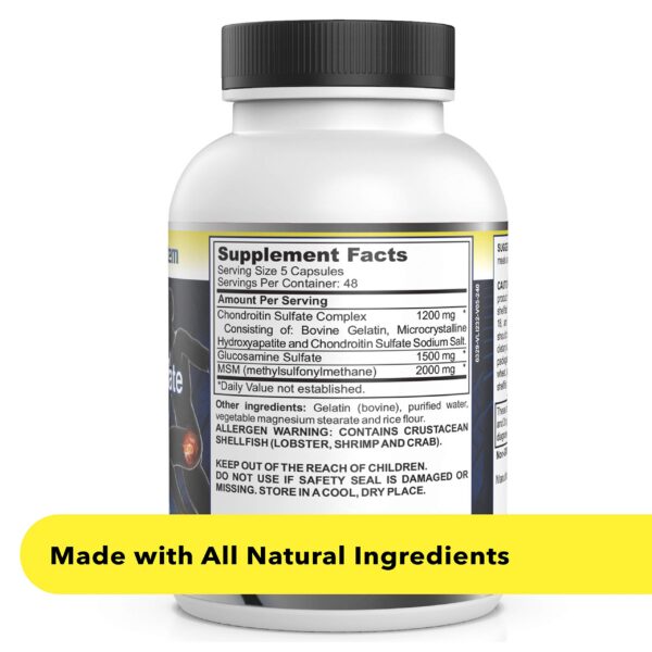 Version 1.0.0 Envase frontal de Healthy Joint System