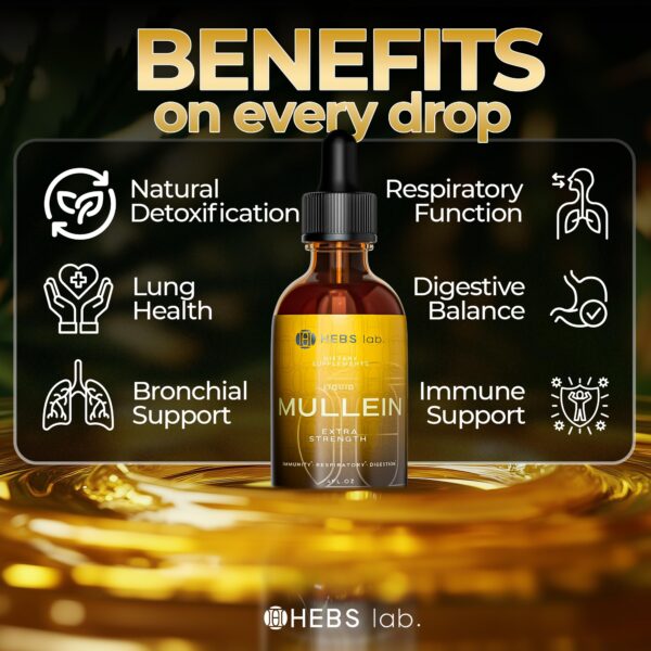 HEBS LAB tintura de gordolobo para pulmones sanos y limpio