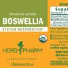 Boswellia serrata en resin de India