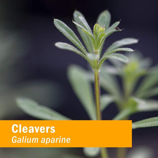 Logo de Herb Pharm en etiqueta