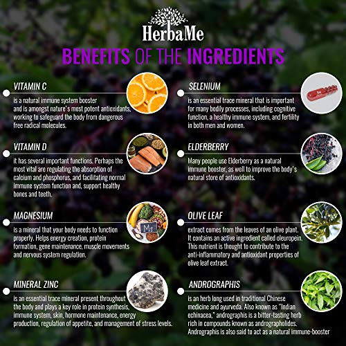 Version 1.0.0 HerbaMe apoyo al sistema inmunológico y bienestar