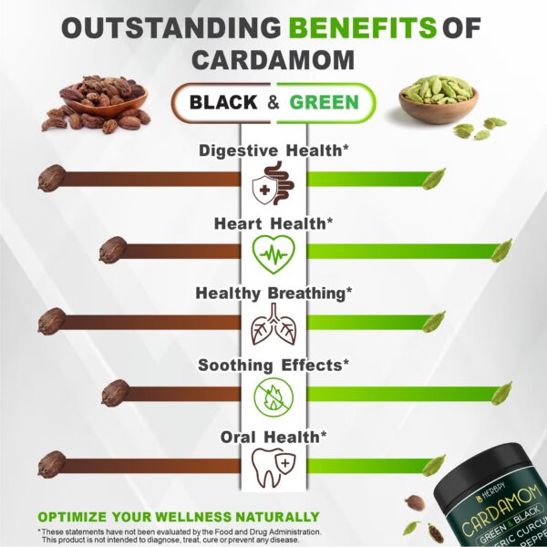 Herbpy suplemento natural compuesto por varios extractos herbales