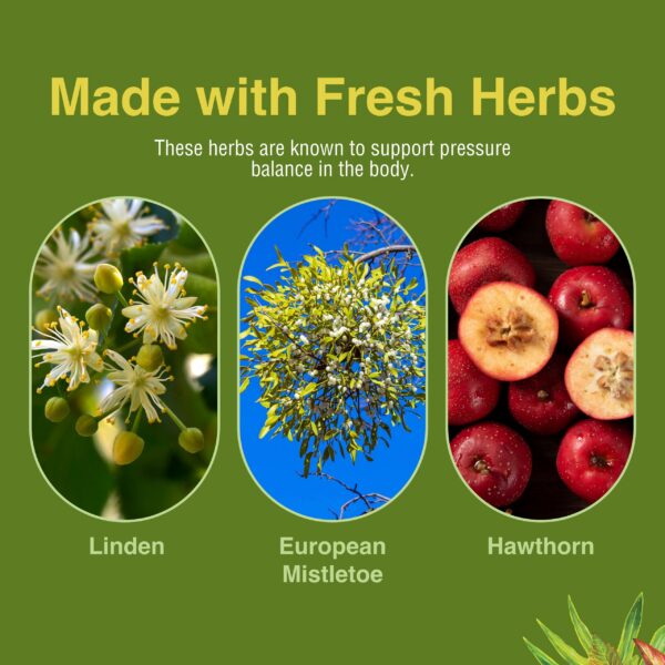 envase herbs etc hb pressure tonic suplemento circulacion saludable