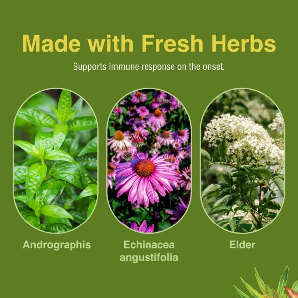 Herbs Etc Immune Alert cápsulas blandas para protección inmune