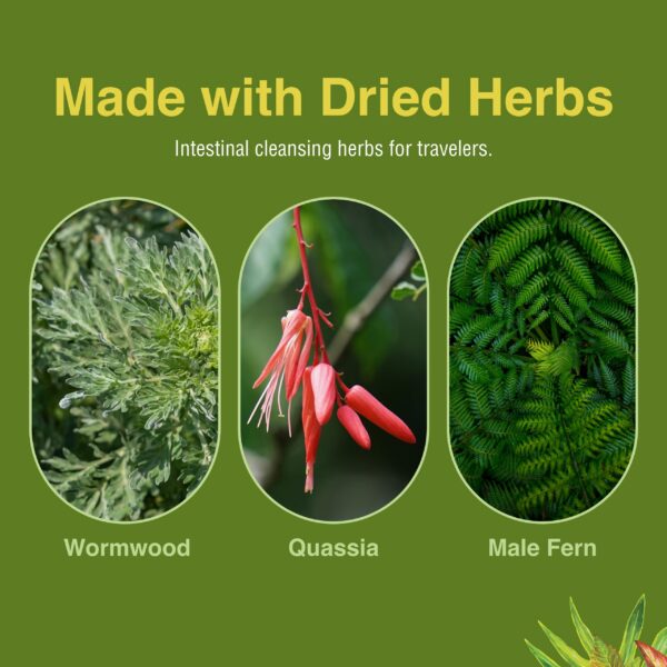 Herbs Etc ParaFree fórmula efectiva limpieza intestinal 60 cápsulas