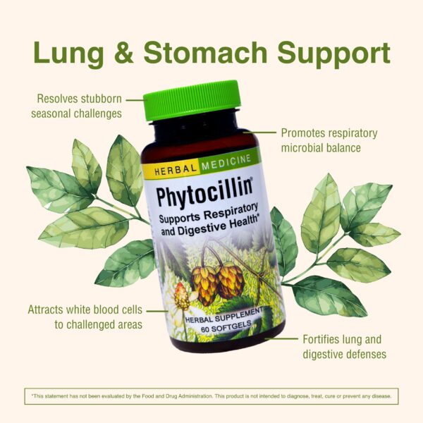 Vista trasera de la etiqueta Phytocillin