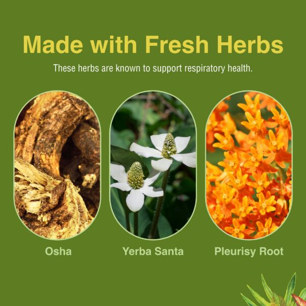 Version 1.0.0 Herbs Etc. Respiratonic 60 softgels para pulmones