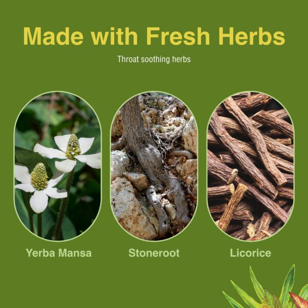 Version 1.0.0 Herbs Etc Singer's Saving Grace spray garganta protección vocal