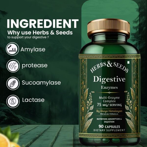 Version 1.0.0 Ingredientes de enzimas digestivas en etiqueta