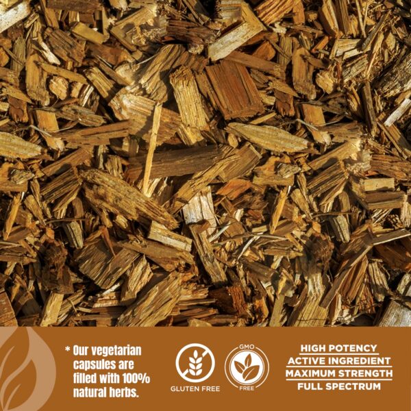 Version 1.0.0 Composición del polvo en etiqueta