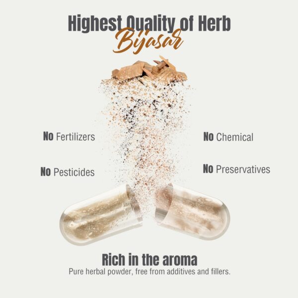 Version 1.0.0 Frasco y cápsulas en primer plano