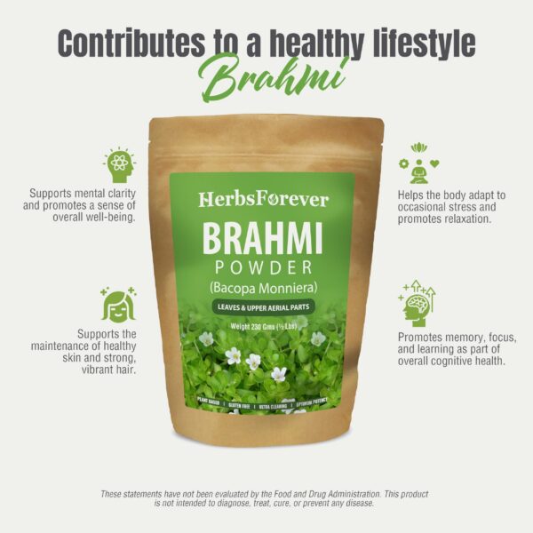Herbsforever Brahmi polvo suplemento natural bienestar saludable
