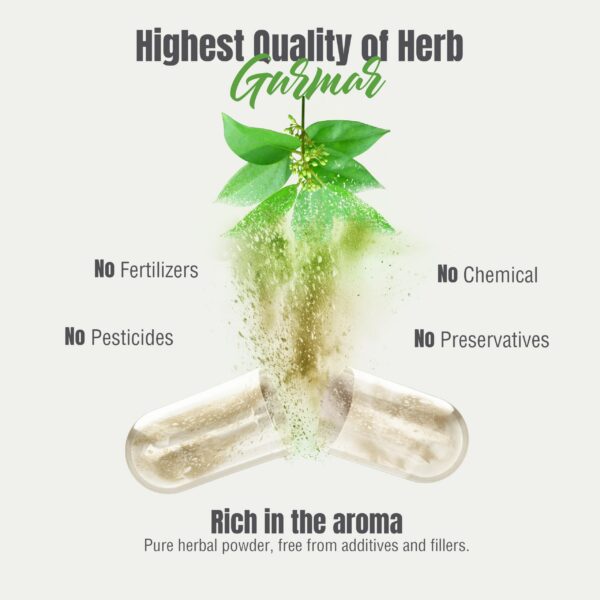 Version 1.0.0 Herbsforever Gurmar cápsulas extracto Ayurveda natural