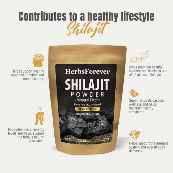 Version 1.0.0 Tapa y frasco de Shilajit