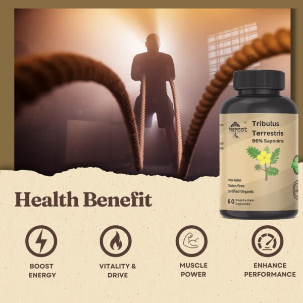 Heroot suplemento de tribulus cápsulas para salud integral