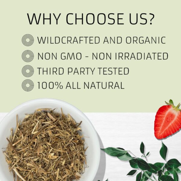 Hierba del Sapo Evergreen Herbs con Eryngium y Cardo Mexicano