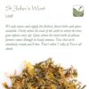 Hierba de san juan en hojas para infusión terapéutica