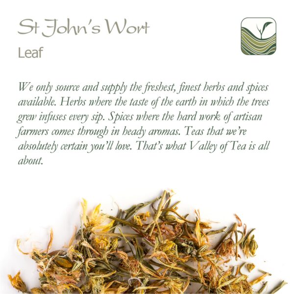 Hierba de san juan en hojas para infusión terapéutica