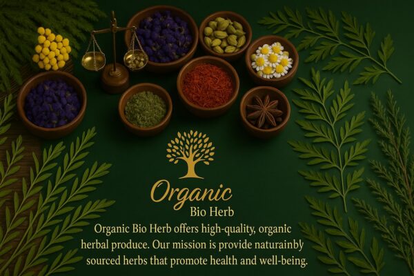 Version 1.0.0 Suplemento herbal raíz valeriana seca natural y sostenible