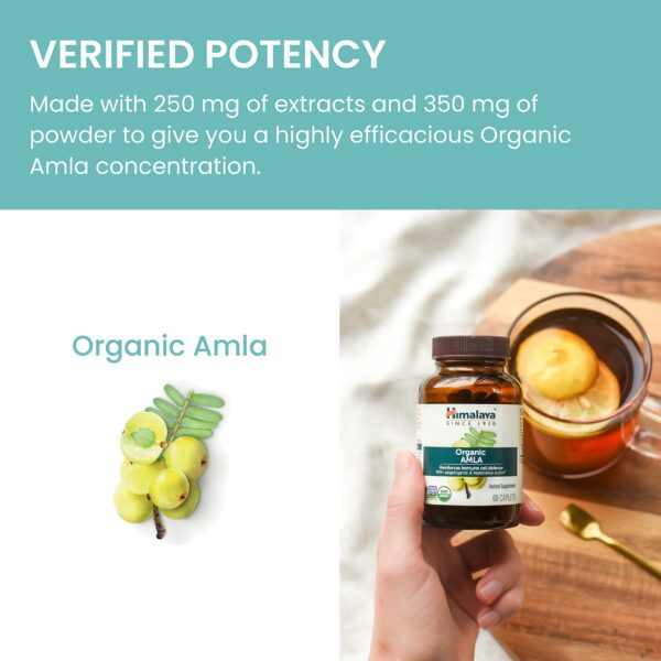 Version 1.0.0 Conjunto de dos frascos Himalaya Amla Orgánico