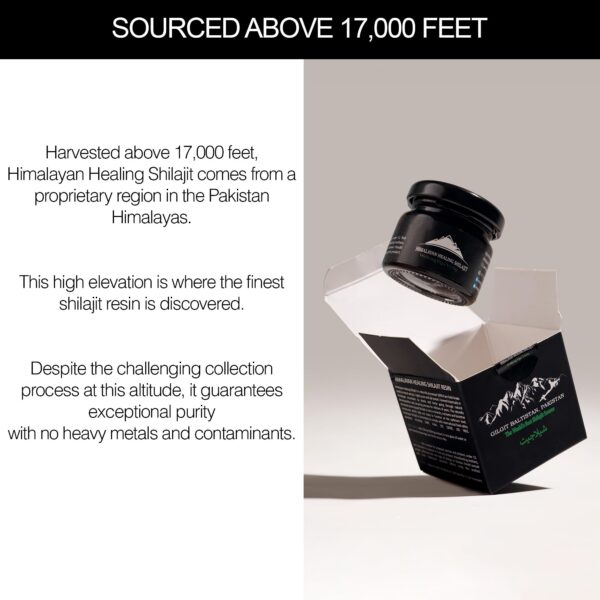 Version 1.0.0 Frasco de vidrio transparente