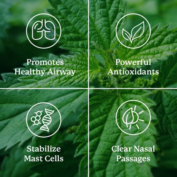 Version 1.0.0 HistaBlock Nature's Sunshine cápsulas antialérgicas