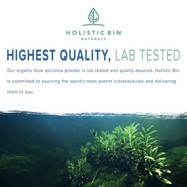 Suplemento natural polvo de espirulina azul HOLISTIC BIN