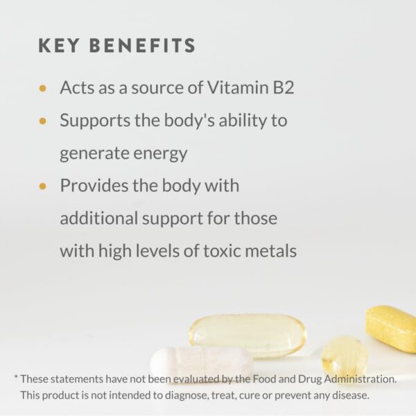 Caja externa del Mineral Maintenance