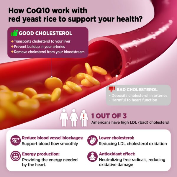 Gomitas HOLLEGEND presentación múltiple vista