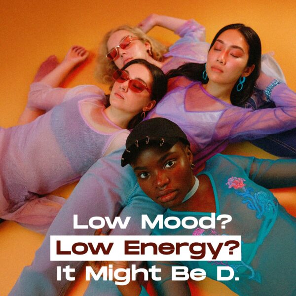 Version 1.0.0 Caja de viaje para tiras