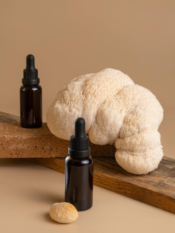 Vista del hongo Melena de León liofilizado en polvo