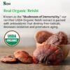 Hongo Reishi suplemento natural orgánico Sayan frasco 90 cápsulas