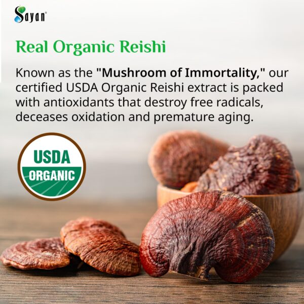 Hongo Reishi suplemento natural orgánico Sayan frasco 90 cápsulas
