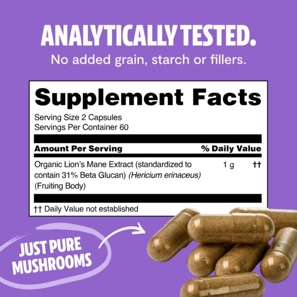 Hongos Melena de León y Cola de Pavo para sistema inmunológico