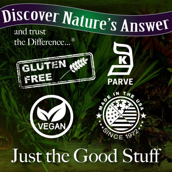 Version 1.0.0 Hongos reishi valorados en medicina tradicional china Ling Zhi