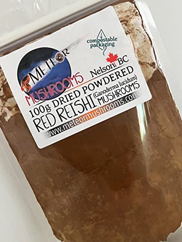 Hongos Reishi en polvo para bienestar