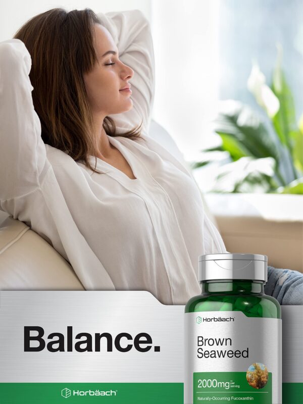 Packaging de Horbaach alga marina marrón