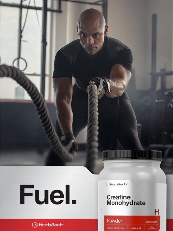 Version 1.0.0 Certificaciones Horbaach sin gluten y sin OGMs