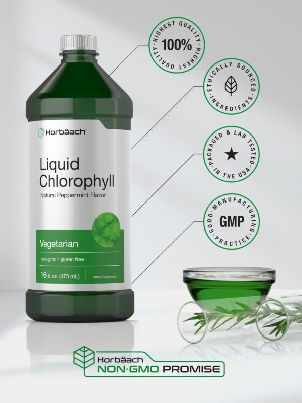 Suplemento Horbäach clorofila líquida sabor menta natural