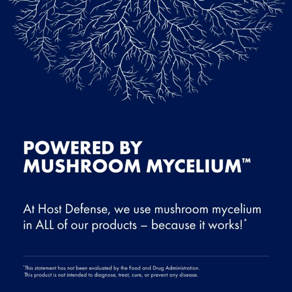 Extracto natural de hongos para sistema inmune