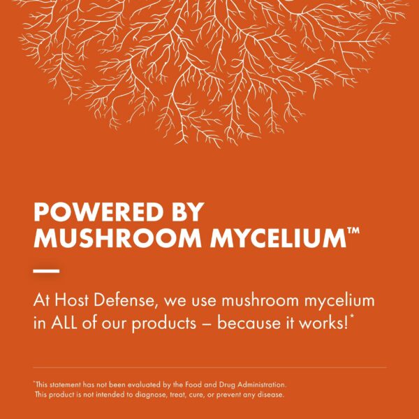 Suplemento para función renal y sistema inmunológico