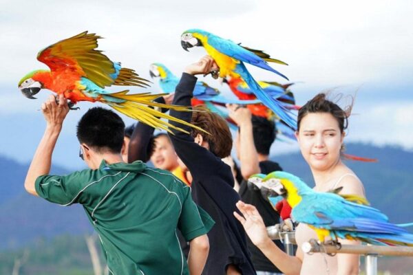 Version 1.0.0 Imagen de ingredientes herbales