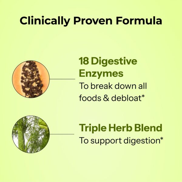 Version 1.0.0 presentacion de uso diario de enzimas