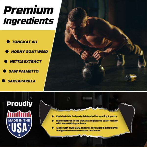 Detalle del logotipo HYLITE NUTRITION