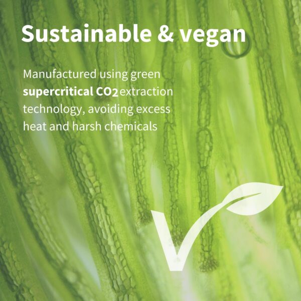 Cápsula individual Igennus Vegan Astaxanthin